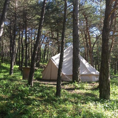 מלון Saint-Martin-de-Clelles Camping La Chabannerie מראה חיצוני תמונה
