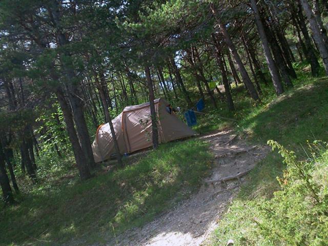 מלון Saint-Martin-de-Clelles Camping La Chabannerie מראה חיצוני תמונה